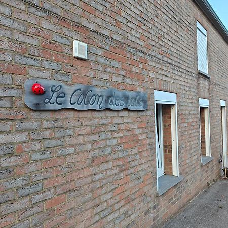 Le Cocon Des Lacs Boussu-lez-Walcourt Exterior foto